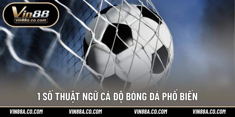 1 số thuật ngữ cá độ bóng đá phổ biến