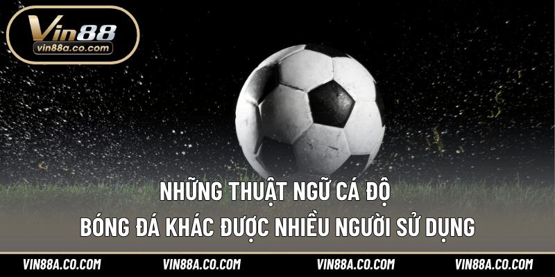 Những thuật ngữ cá độ bóng đá khác được nhiều người sử dụng